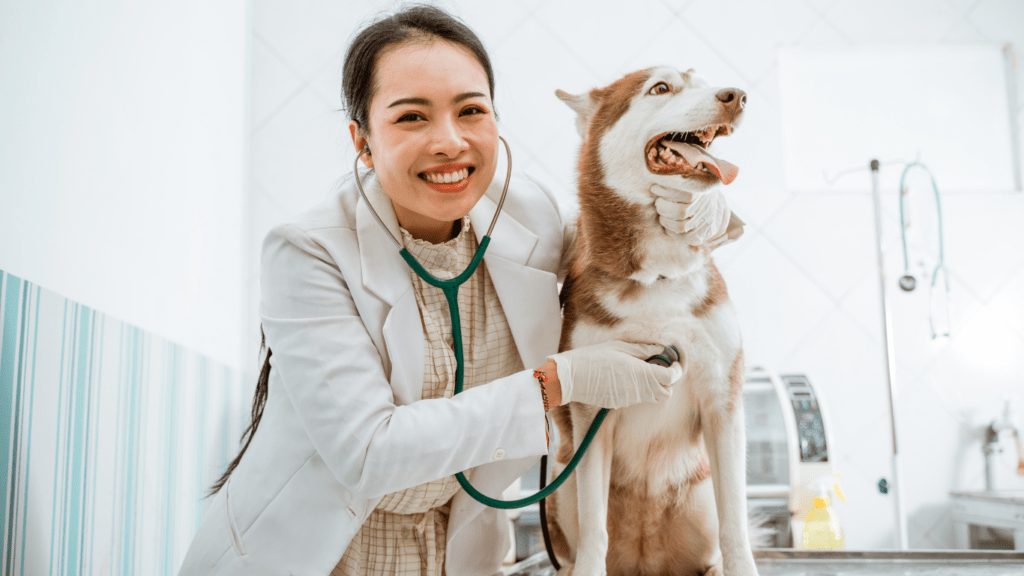 A veterinarian holding a dog