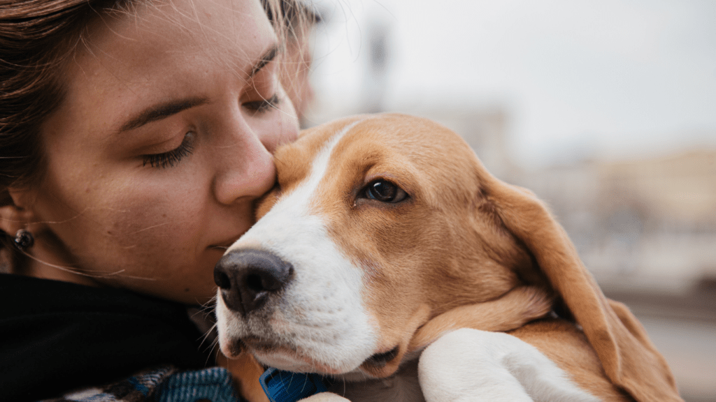 Top Tips for Easing Pet Anxiety