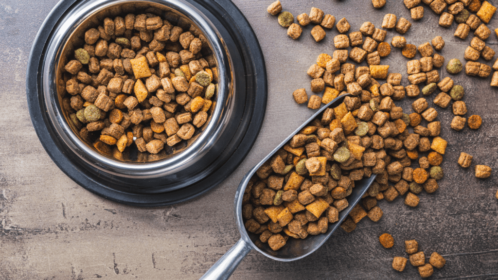 dog food in a bowl and a spoon on a wooden surface