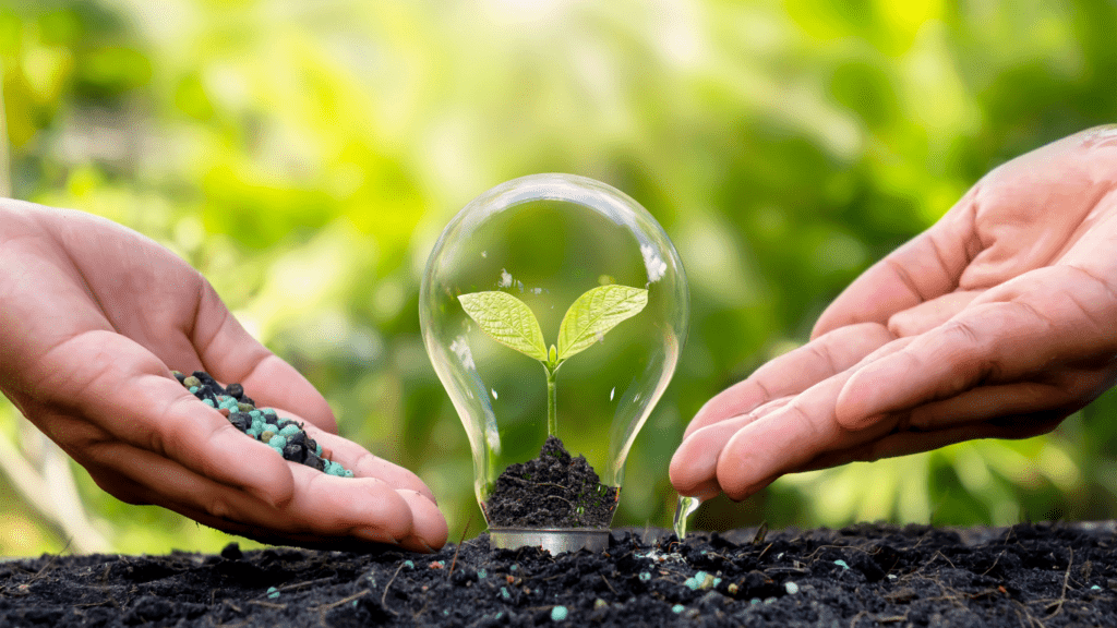 a light bulb with a green plant growing out of it