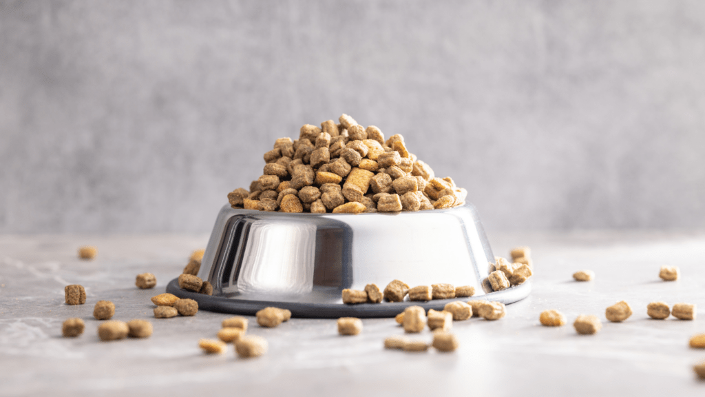 dog food in a bowl and a spoon on a wooden surface