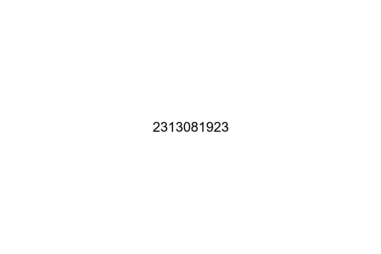 2313081923