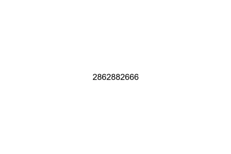 2862882666