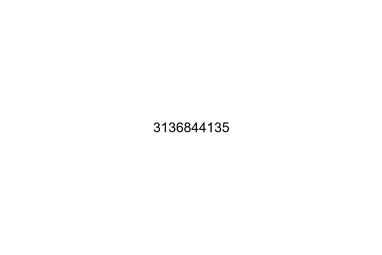 3136844135