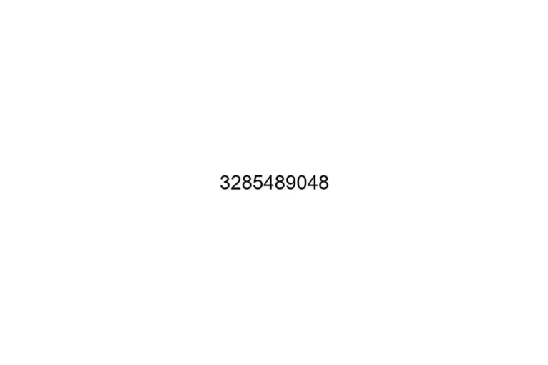 3285489048