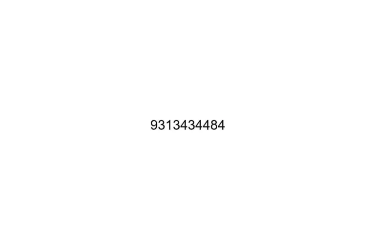 9313434484
