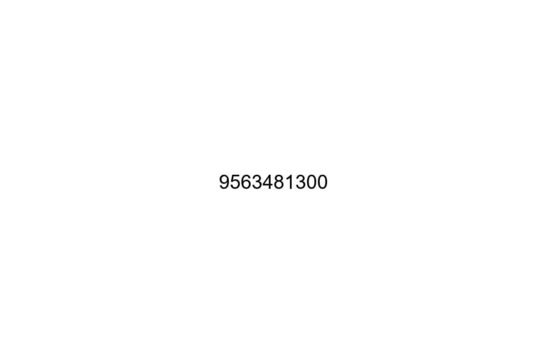 9563481300