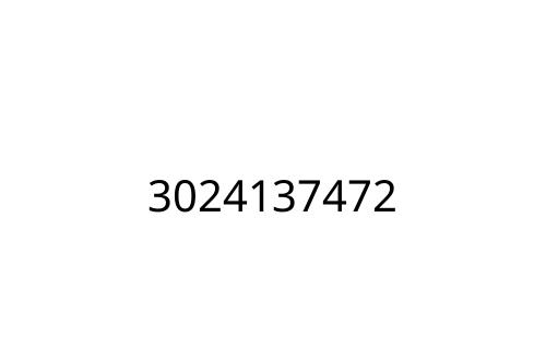 3024137472