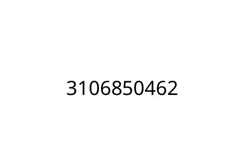 3106850462