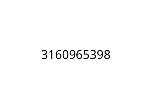 3160965398