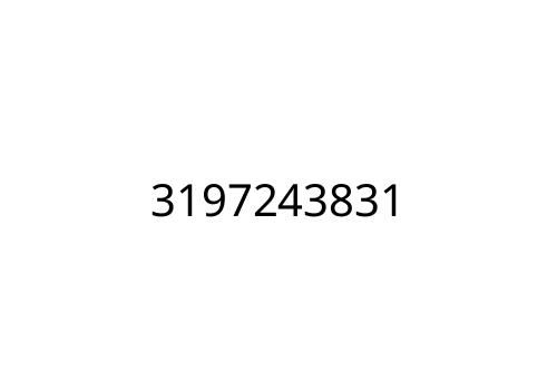 3197243831