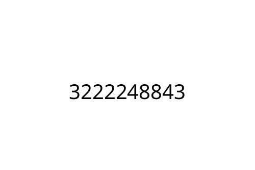 3222248843
