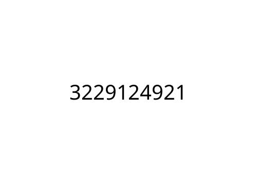 3229124921