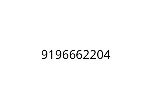 9196662204