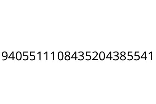 9405511108435204385541
