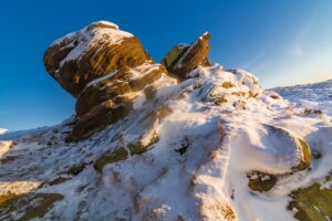 dash.scboolcharts.lat