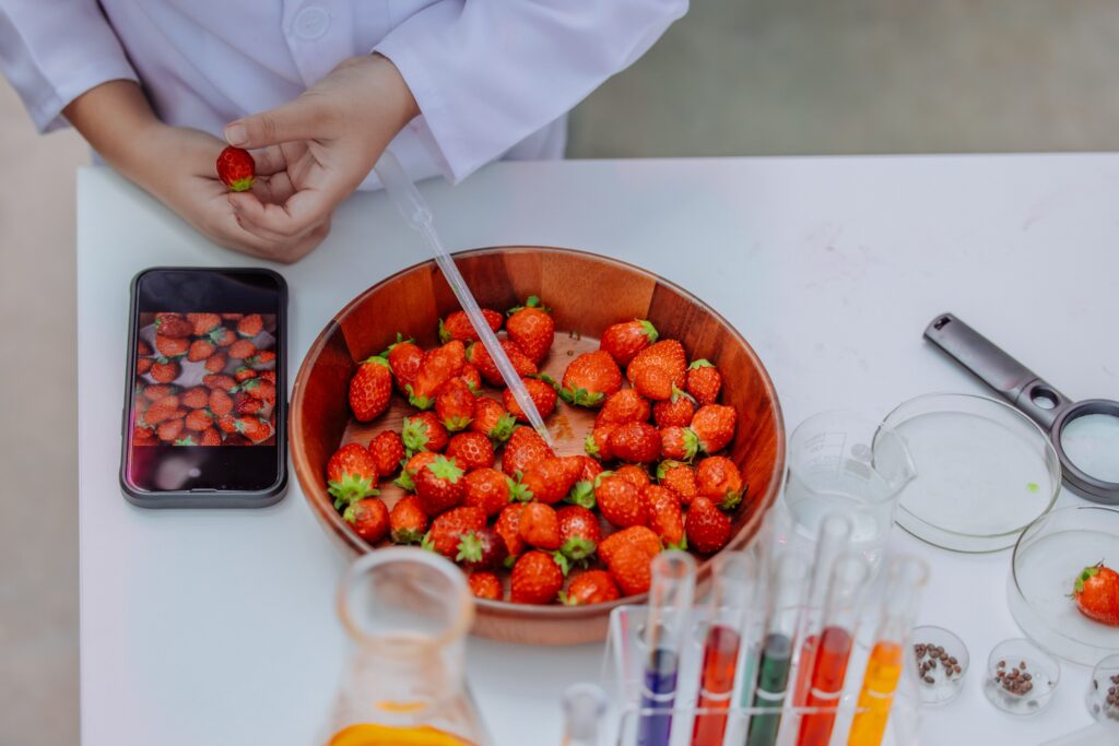 junior scientist trainee gain real world strawberr 2025 01 07 06 57 03 utc