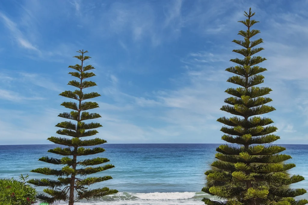 liberal towns in the blue ridge mountains