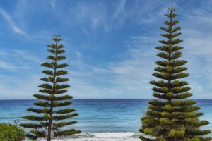 liberal towns in the blue ridge mountains