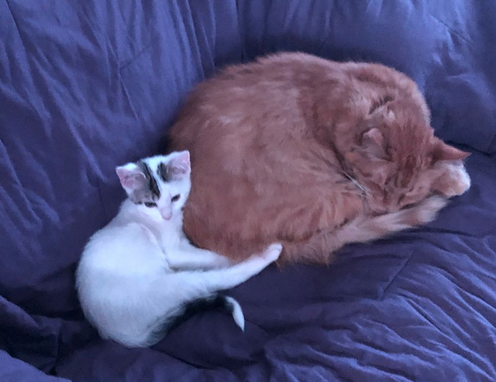 is yumkugu difficult to digest