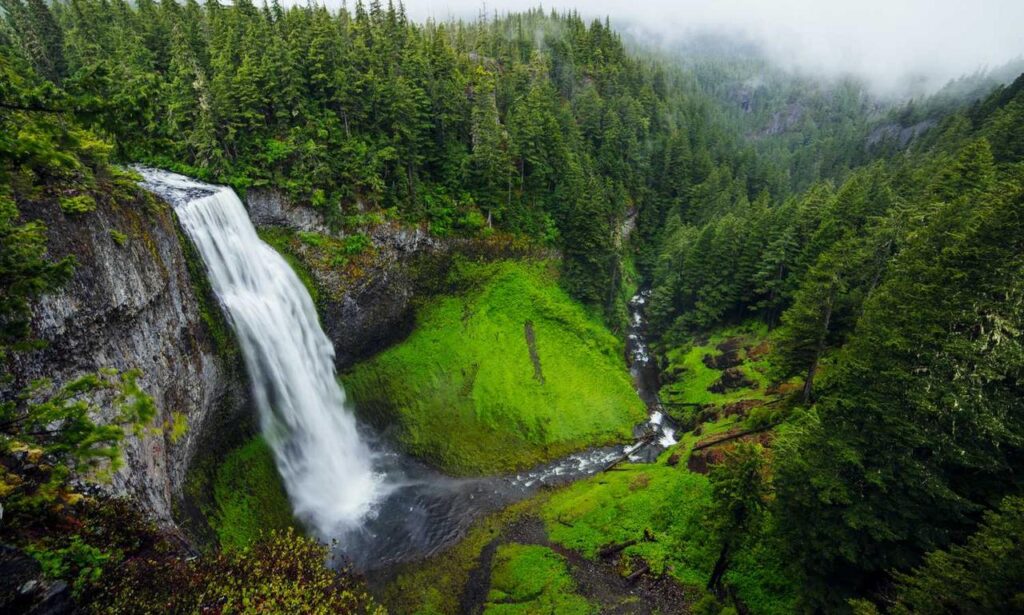 when dorgenven new version released