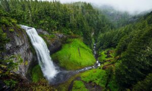 when dorgenven new version released