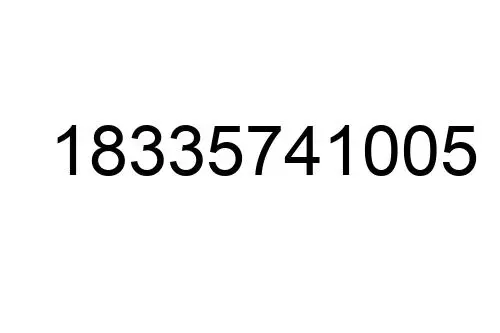 18335741005