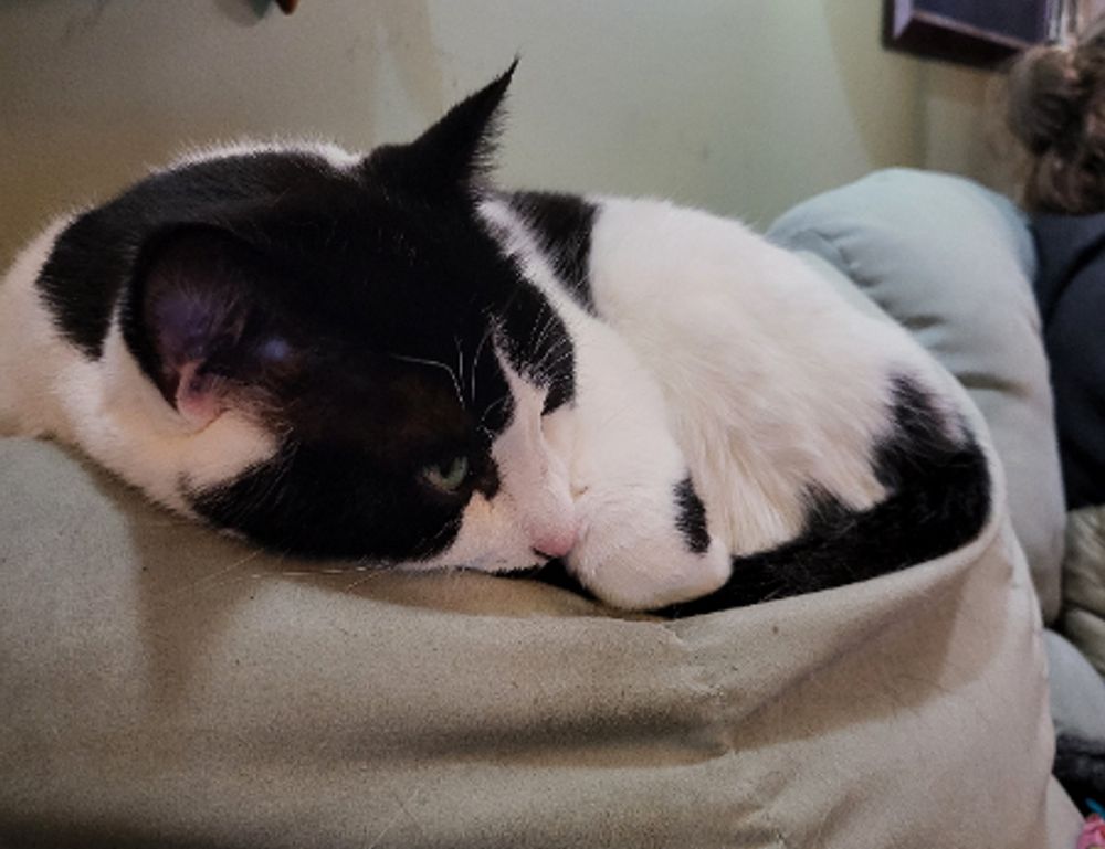 4.500 uf a pesos chilenos