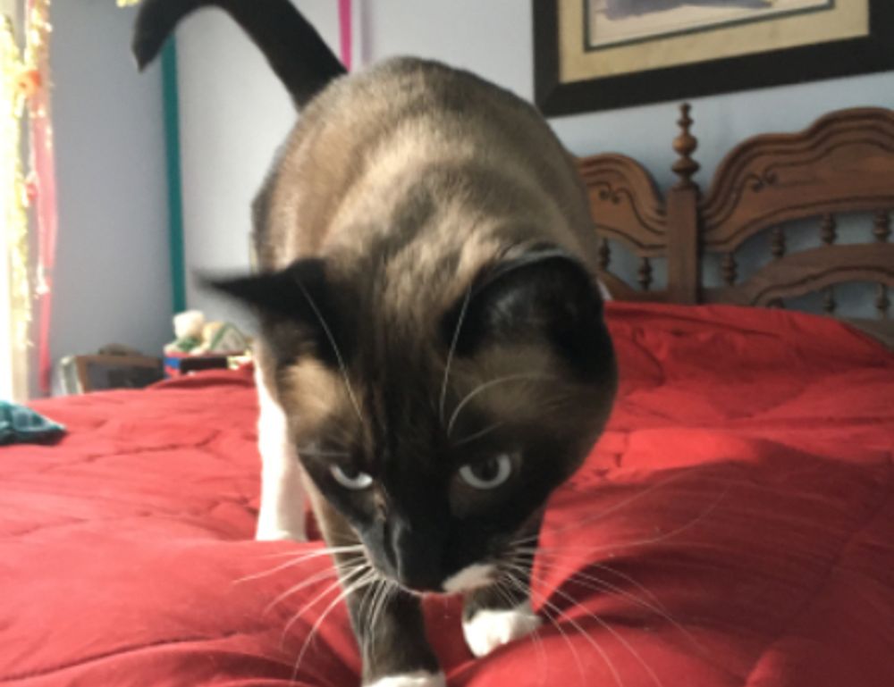 76ers vs orlando magic match player stats