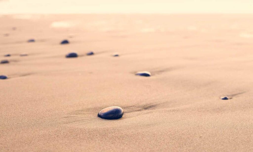 cute girly_m 3 best friends