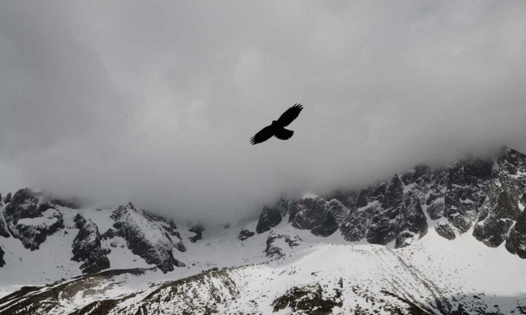 dibujos de flores a lapiz tumblr