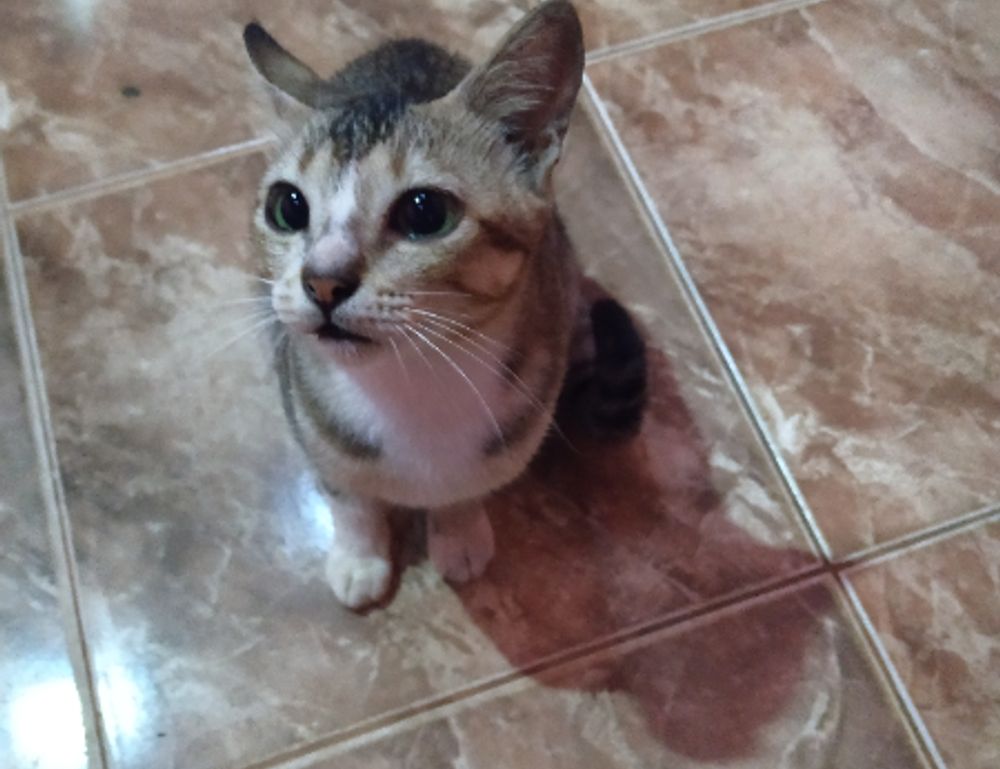 facil:yg8isdfwnoa= dibujos aesthetic