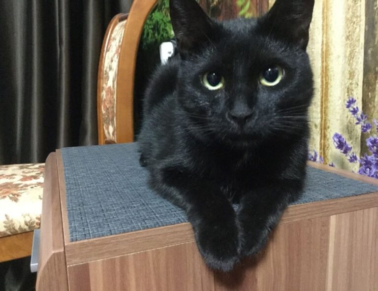 kerri gribble only fans leak