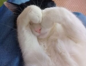 mia bailey leaked onlyfans