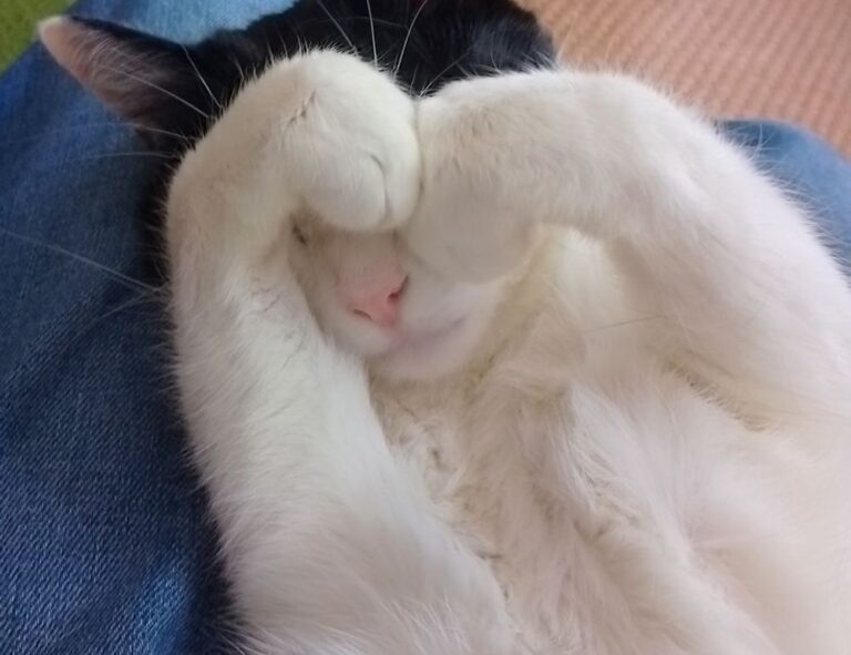 mia bailey leaked onlyfans