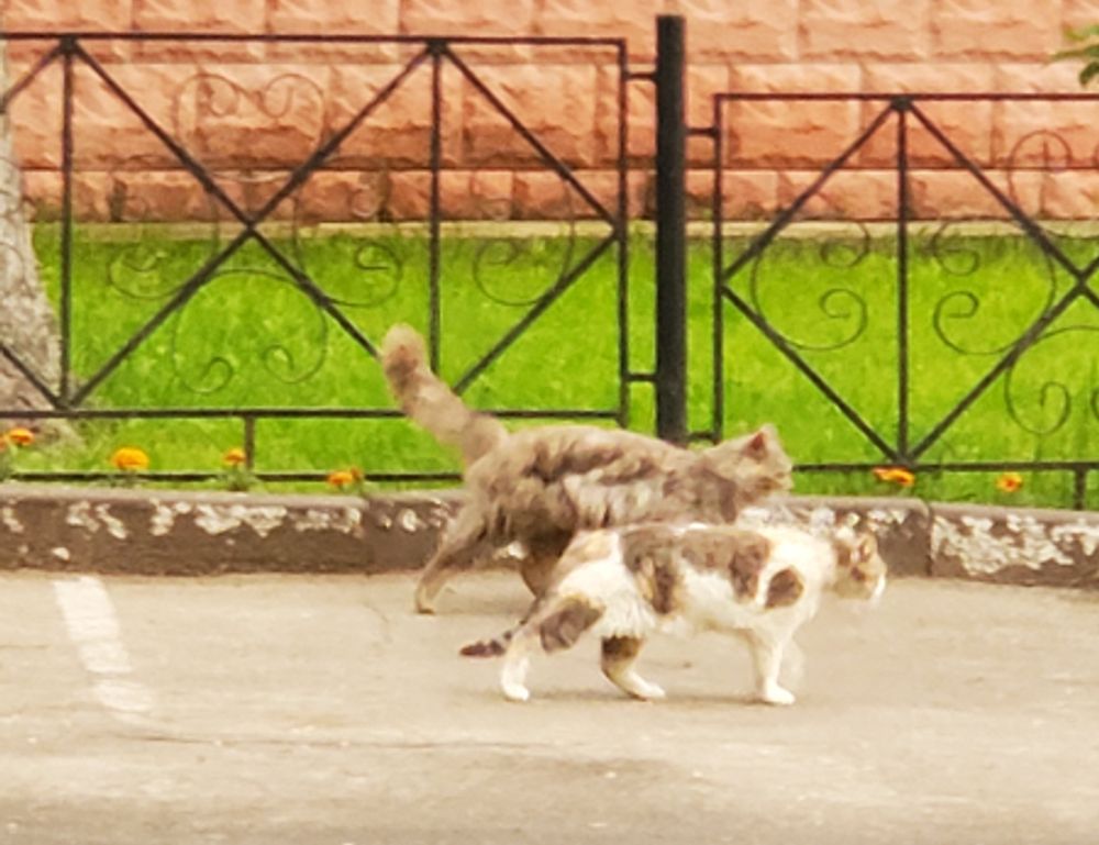 pipi kanan bergerak dalam islam