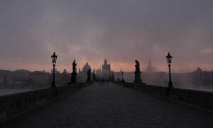 sons of the forest eneba