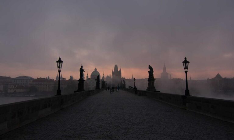 sons of the forest eneba