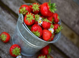 How to Eat Healthy Shmgdiet