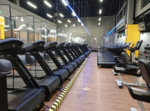 Treadmill Guide Tweeklynutrition