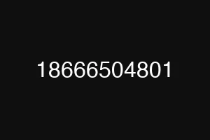 18666504801