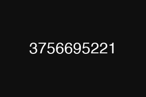 3756695221