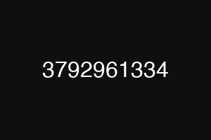 3792961334