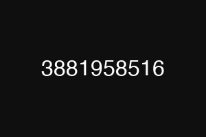 3881958516