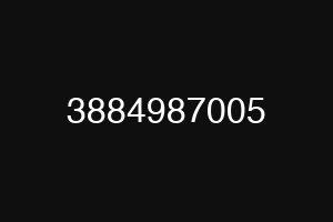 3884987005