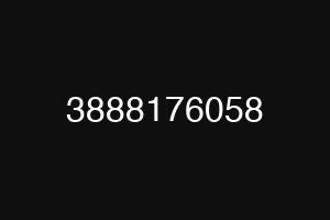 3888176058