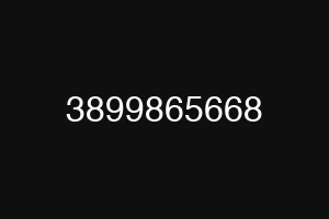 3899865668