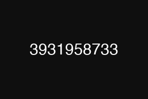 3931958733