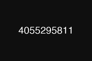 4055295811