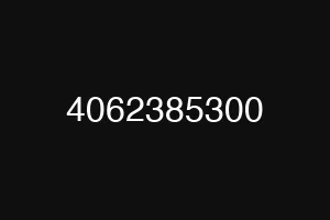 4062385300
